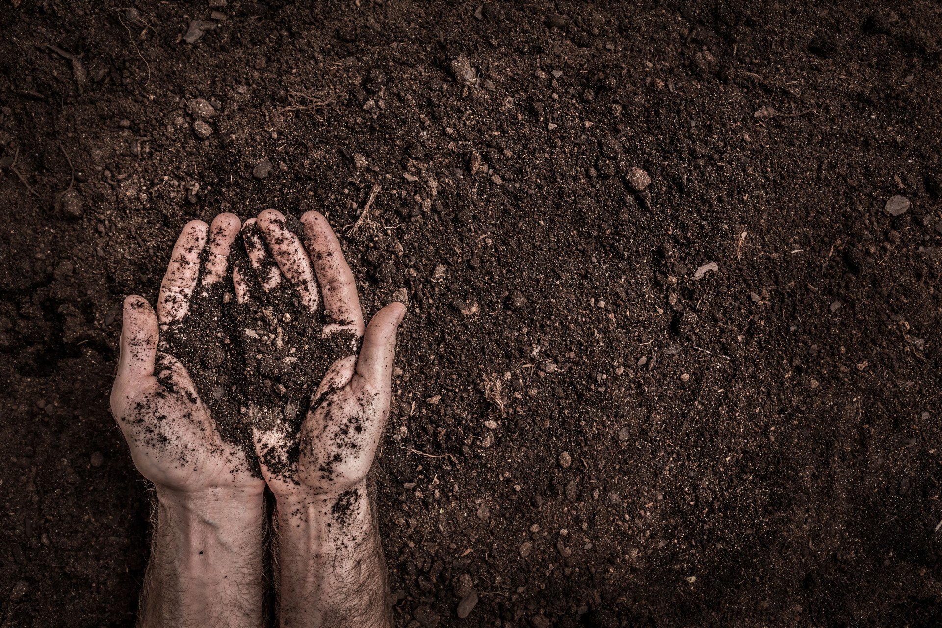 Soil